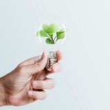 La capacidad renovable mundial podría marcar su máximo histórico en 2022