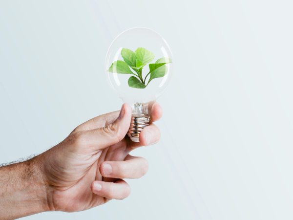 https://luznaturalautoconsumo.es/wp-content/uploads/2022/02/La-capacidad-renovable-mundial-podría-marcar-su-máximo-histórico-en-2022.jpg